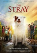 The Stray filmini izle 2017